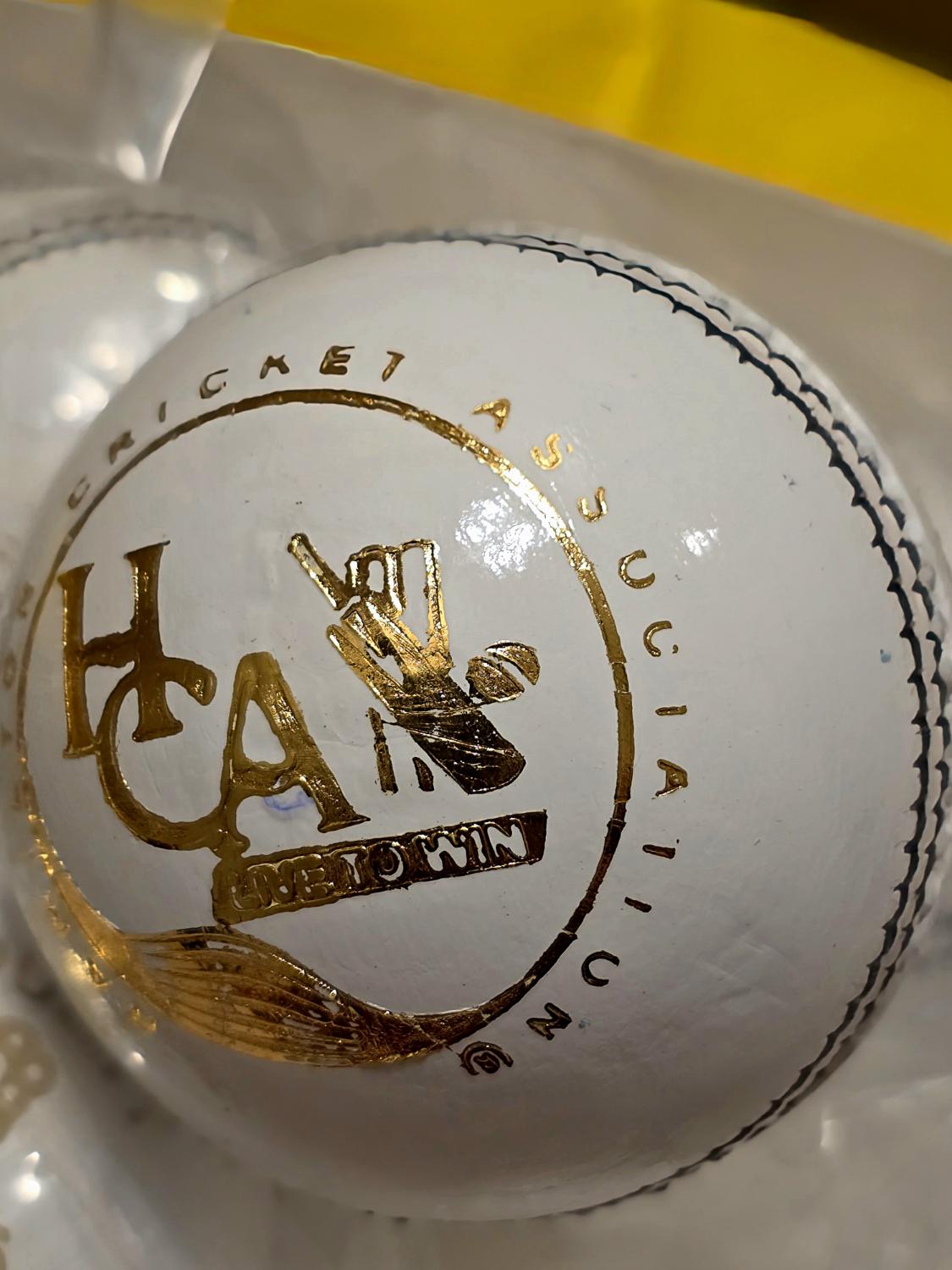 HCA Branded Cricket Ball