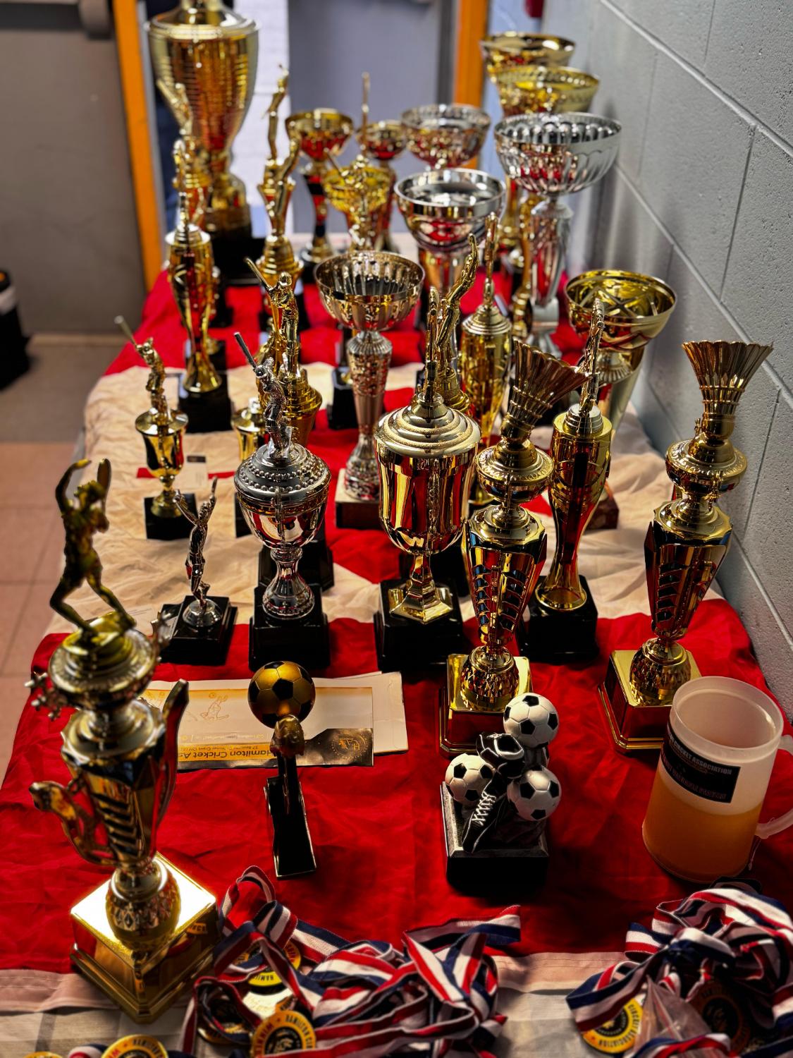 Trophies and Medals Display